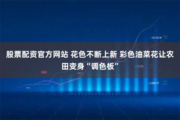 股票配资官方网站 花色不断上新 彩色油菜花让农田变身“调色板”